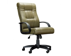 Кресло руководителя Дали DB-700M пластик images