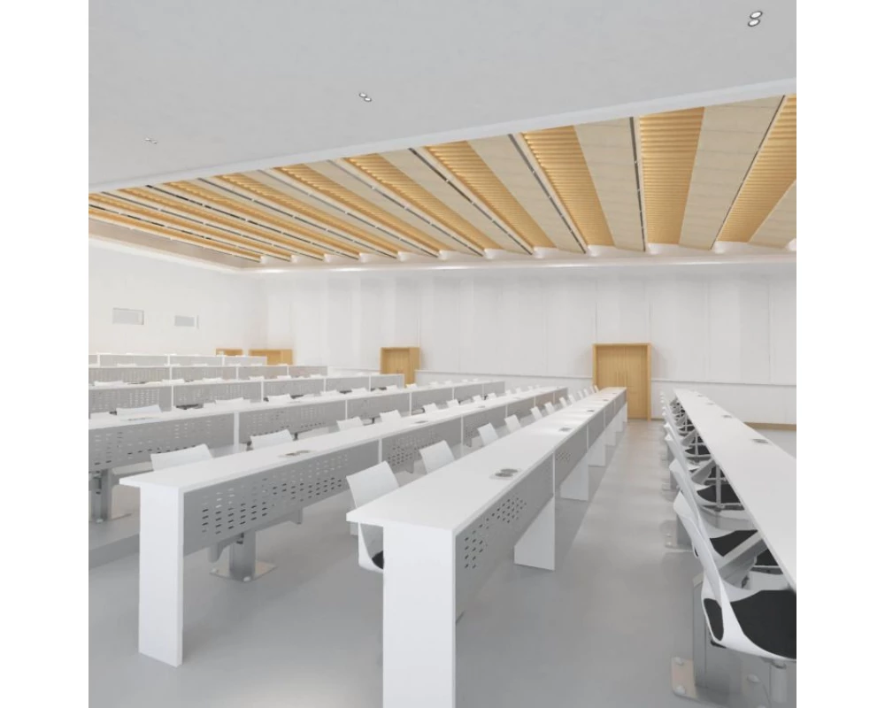 Аудиторный ряд Ньютон LS-420