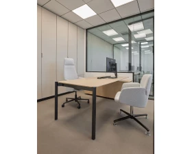 Кабинет руководителя Terra (of) images