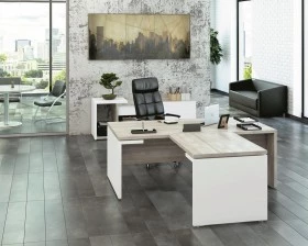 Кабинет руководителя Zion images