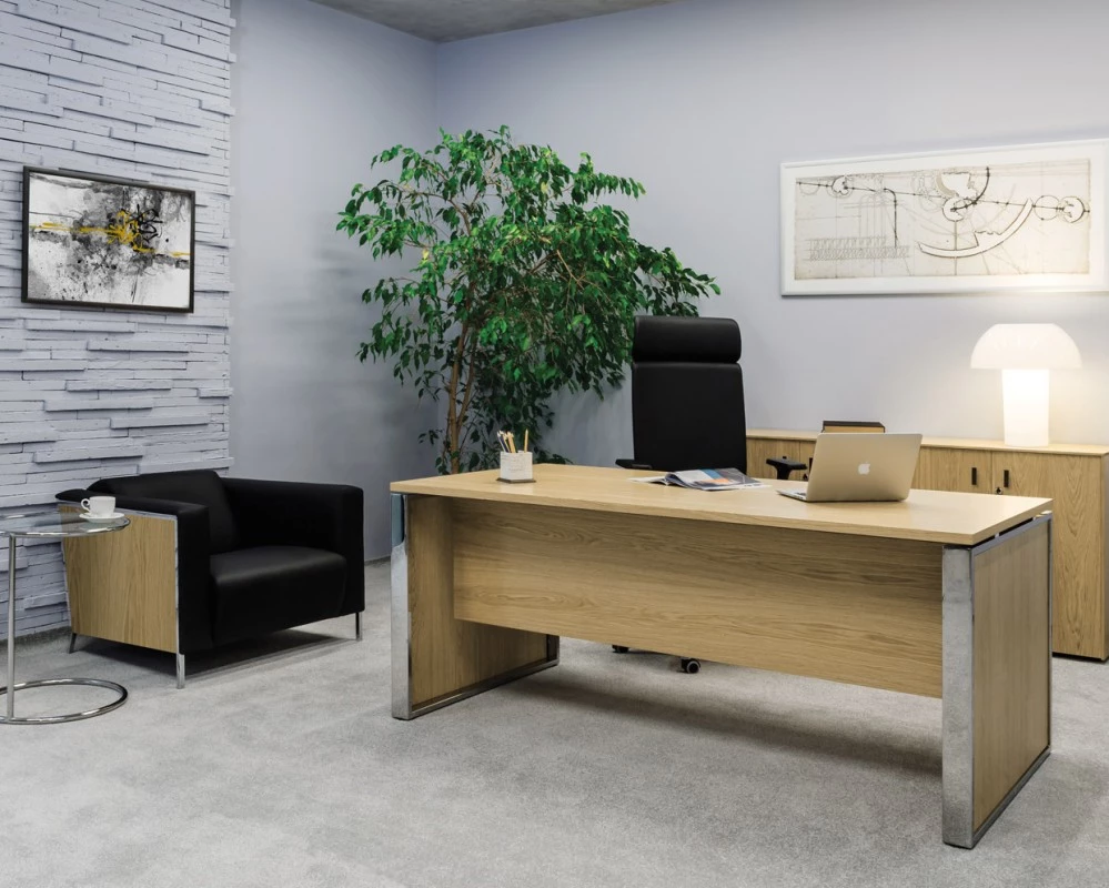 Кабинет руководителя Exe