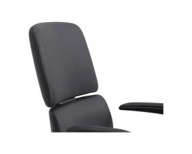 Кресло RV DESIGN Venetto-M (FK013-B12) images