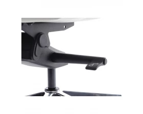 Кресло RV DESIGN Rubens-M (B1819-2) images