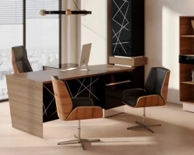 Кабинет руководителя Trevizo images