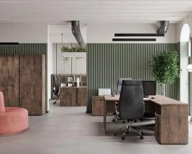 Кабинет руководителя Lemo images