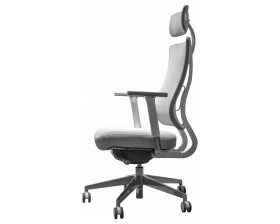 Кресло Falto X Trans XTR 11 WAL-AL images