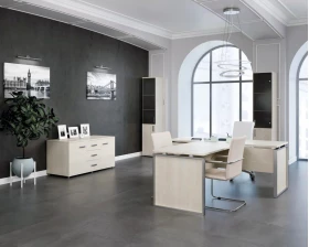 Кабинет руководителя Аргентум images