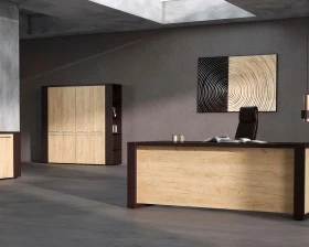 Кабинет руководителя Alto images