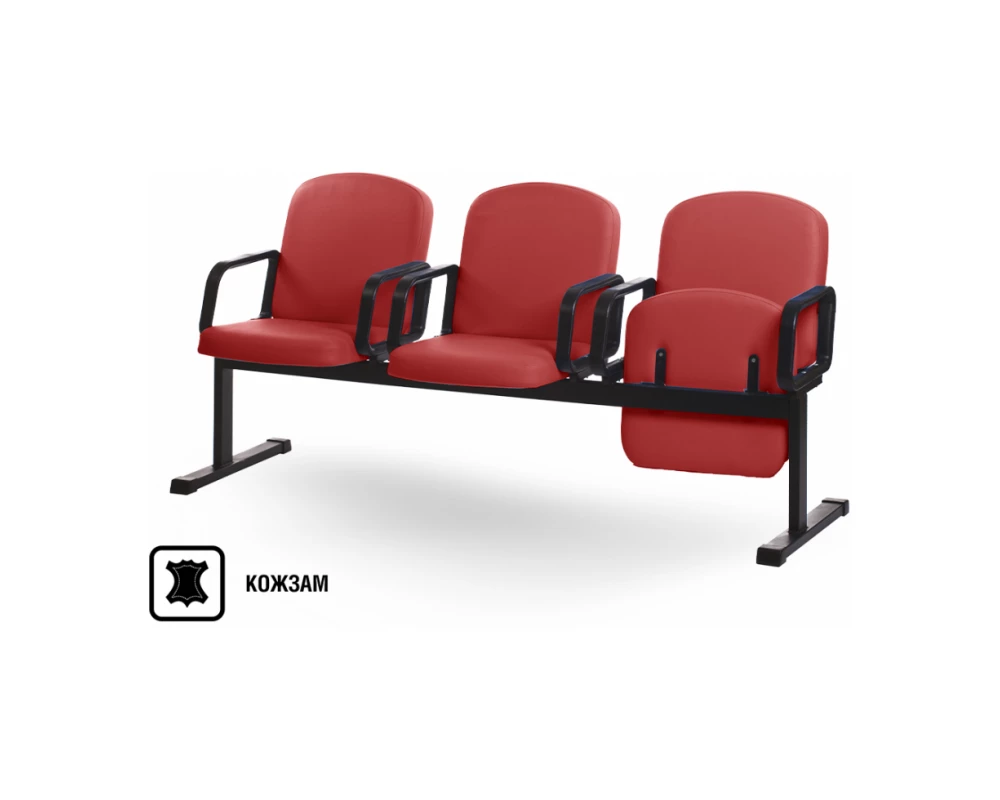 Многоместная секция Камилла