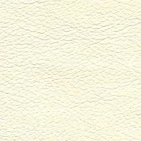 CONSUL-Latte-1515-Y15R