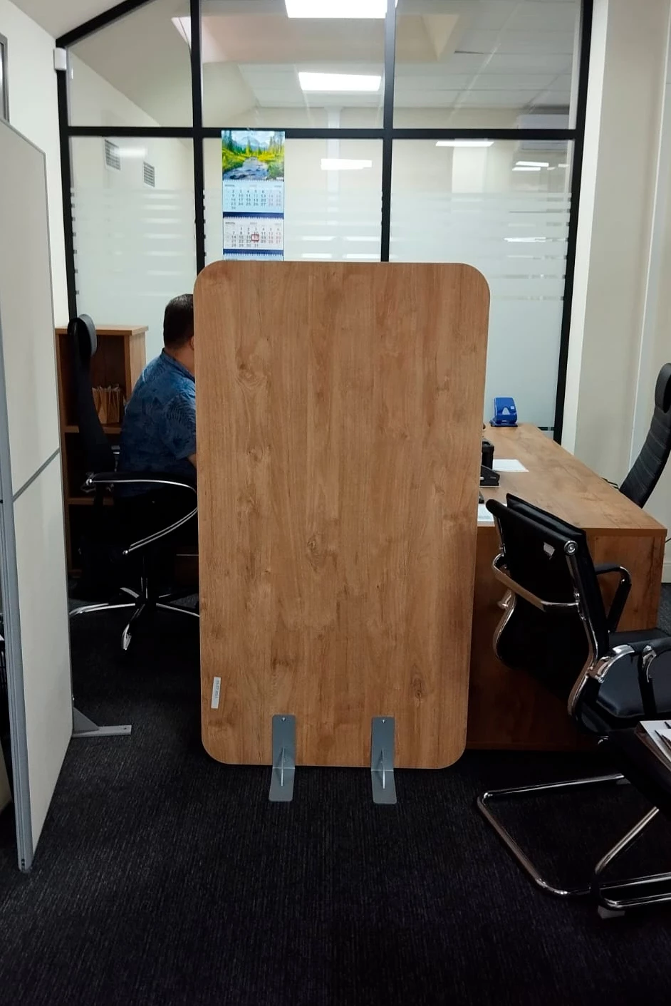 Напольные перегородки R-line фото в интерьере 3